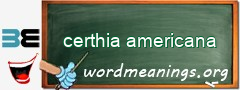 WordMeaning blackboard for certhia americana